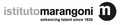 Istituto Marangoni Paris Logo