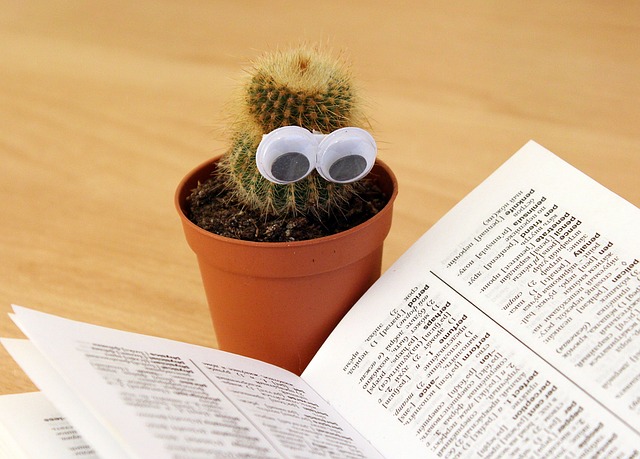 cute cactus studying googly eyes dictionary